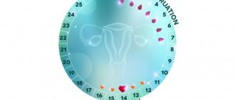 ovulation day