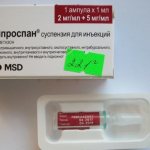 Diprospan - instructions for use, side effects, analogues, price and reviews