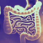 Why is gastrointestinal endoscopy performed?