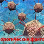 этиологические факторы аденовирусной инфекции