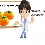 Persimmon for gastritis of the stomach