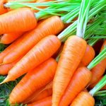 Использовать овощ на острой фазе панкреатита не разрешается