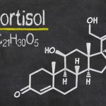 Cortisol: What to do if the stress hormone is elevated