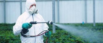 Лимфома средостения развивается у людей, работающих с пестицидами