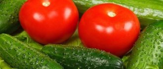 Is it possible to eat cucumbers and tomatoes with gastritis?