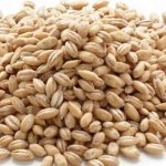Is it possible to eat pearl barley if you have pancreatitis?