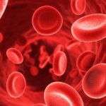 hemoglobin norm