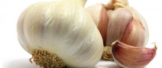 benefits and harms of garlic