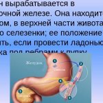 Causes of deficiency and how to force the pancreas to produce insulin