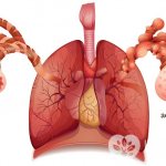 Признаки бронхиальной астмы у детей