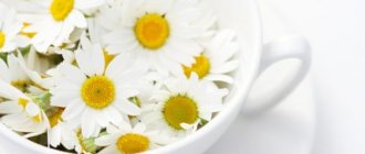 Chamomile for diarrhea and its healing properties