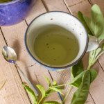 Sage: Natural remedy for menopause and hot flashes