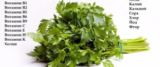 Composition of parsley