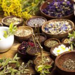 herbs for hemorrhoids