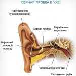 Congestion in the ears. Causes and treatment of noise, ringing, sore throat, runny nose, stroke, after sleep. What to drip with 